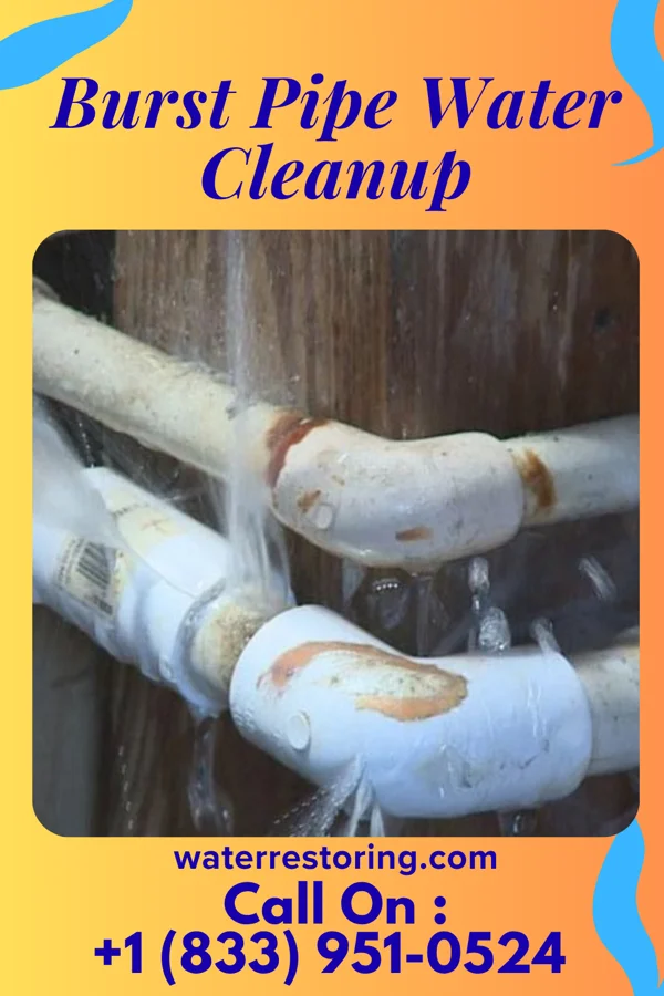 Burst Pipe Water Cleanup in Morton, PA