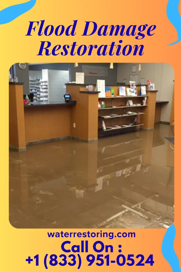 Flood Damage Restoration in Morton, PA