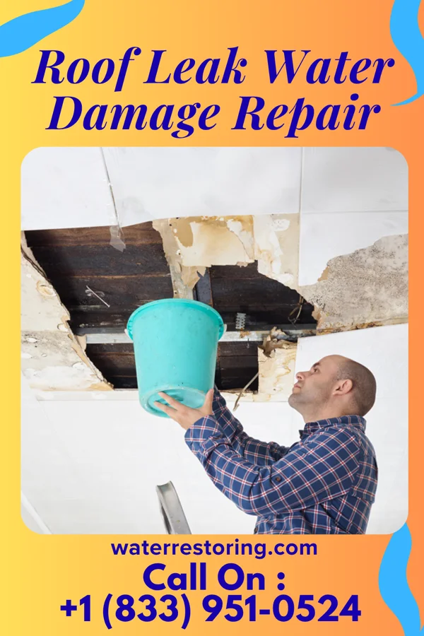 Roof Leak Water Damage Repair in Morton, PA