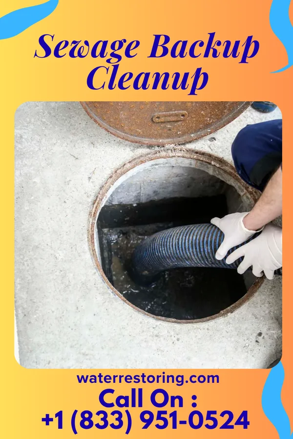 Sewage Backup Cleanup in Morton, PA