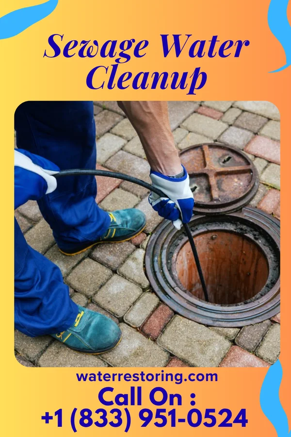 Sewage Water Cleanup in Morton, PA